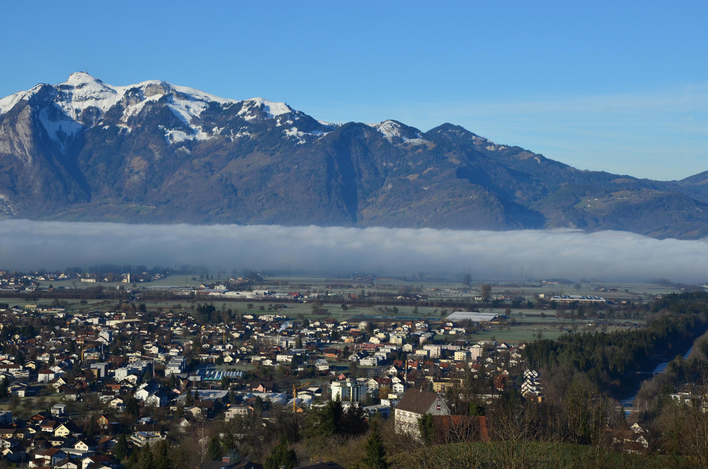 Natur 120120_11.JPG
