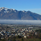 Natur 120120_11.JPG