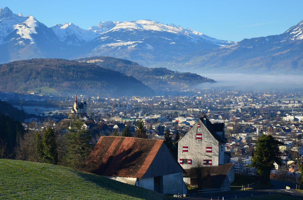 Natur 120120_12.JPG