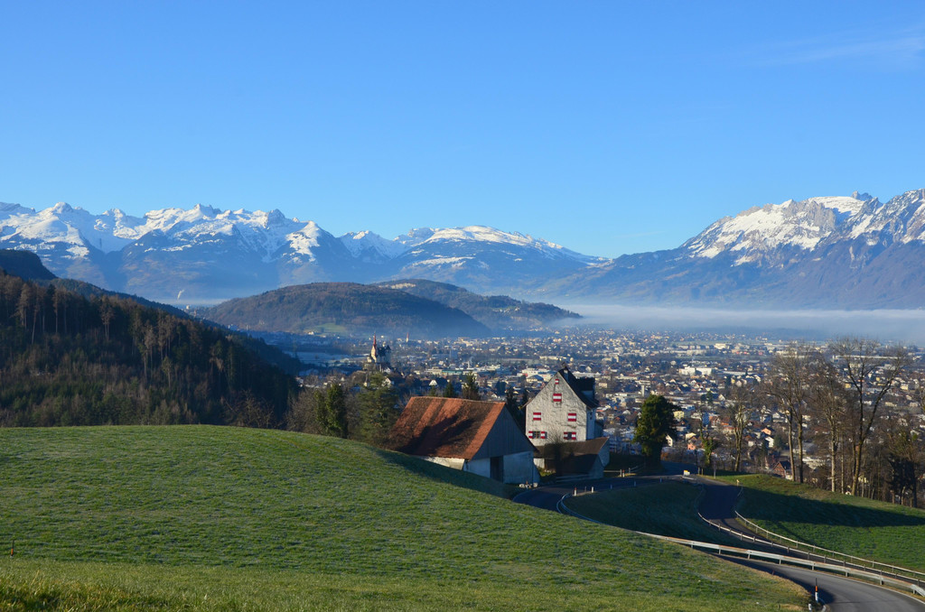 Natur 120120_13.JPG