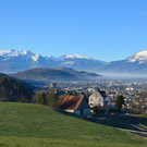 Natur 120120_13.JPG