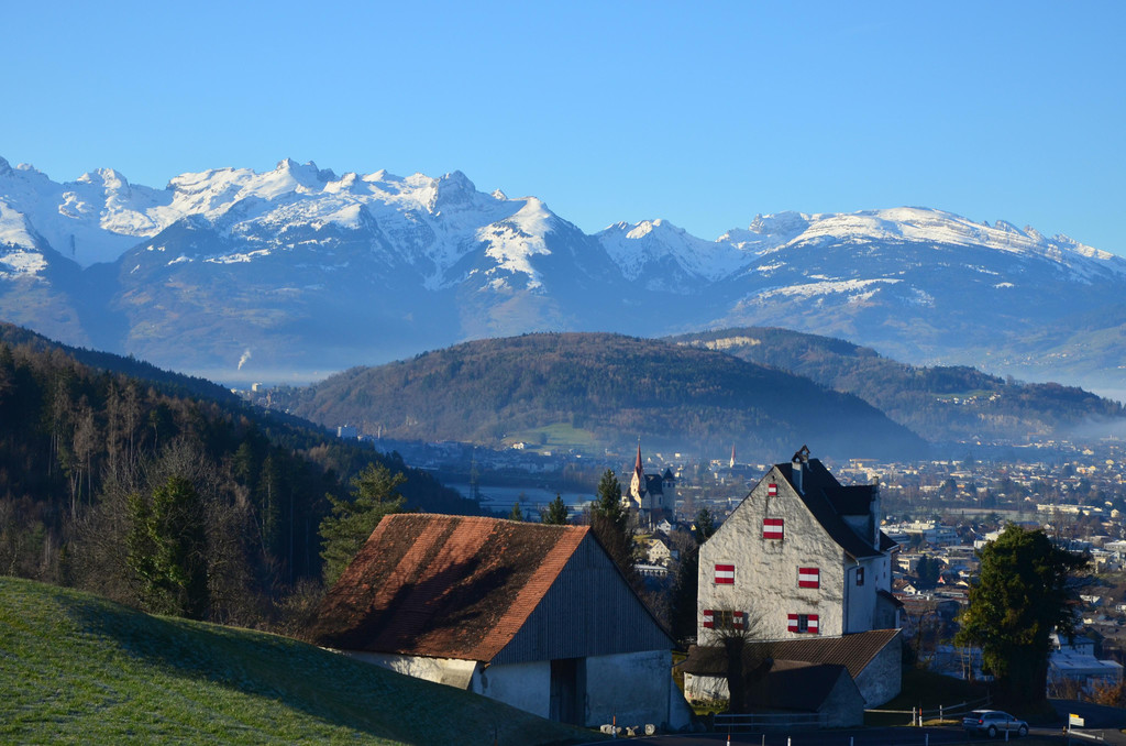 Natur 120120_14.JPG
