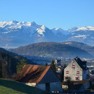 Natur 120120_14.JPG