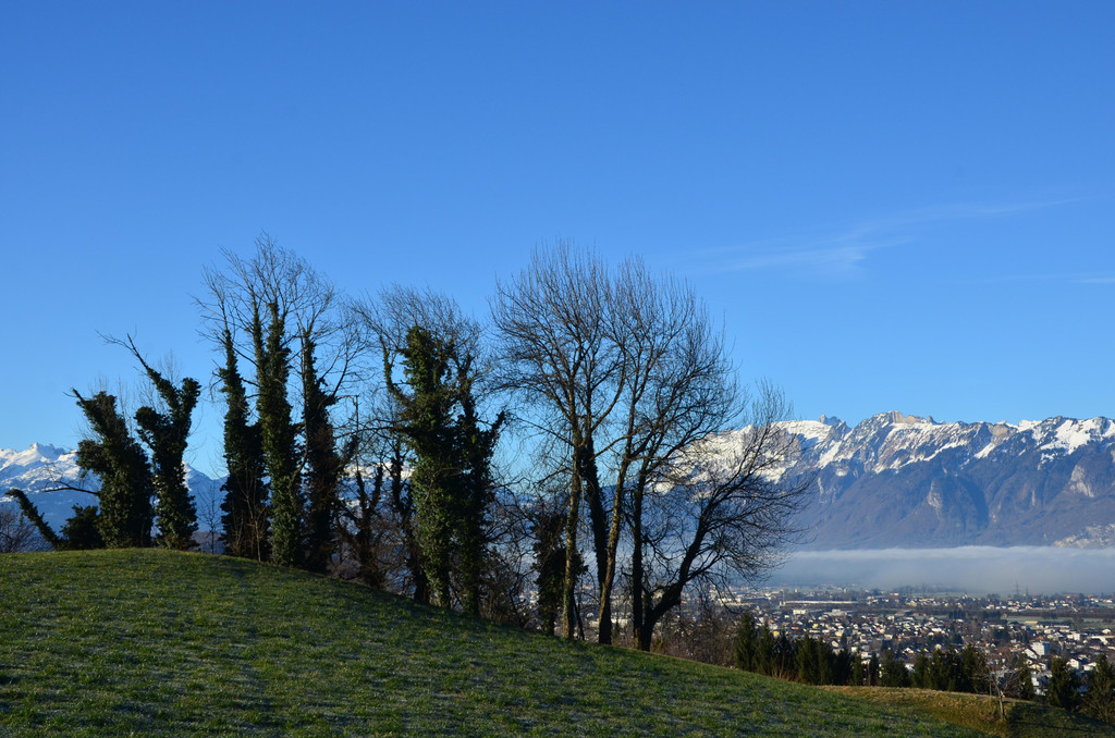 Natur 120120_15.JPG