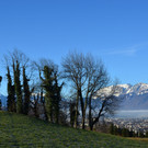 Natur 120120_15.JPG