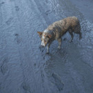 Philippines_Volcano_44705.jpg