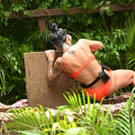 3_648473.jpg