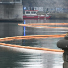 ABD0077-20200116.jpg