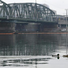ABD0080-20200116.jpg