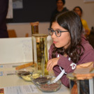 RMI_4681.JPG