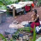 3_649410.jpg
