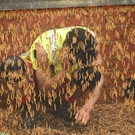 3_649373.jpg