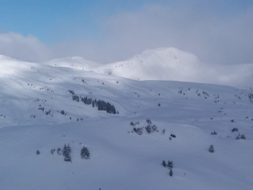 WhatsApp Image 2020-01-20 at 13_23_17.jpeg