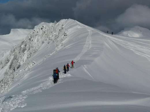 WhatsApp Image 2020-01-20 at 13_23_17_1_.jpeg