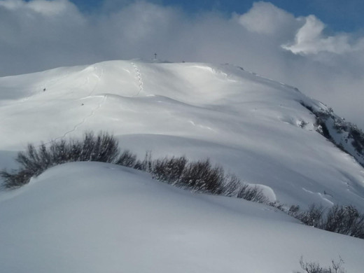 WhatsApp Image 2020-01-20 at 13_23_18.jpeg