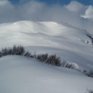 WhatsApp Image 2020-01-20 at 13_23_18.jpeg