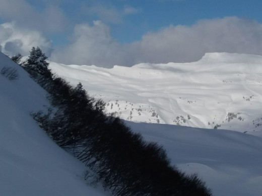 WhatsApp Image 2020-01-20 at 13_23_19.jpeg