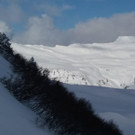 WhatsApp Image 2020-01-20 at 13_23_19.jpeg