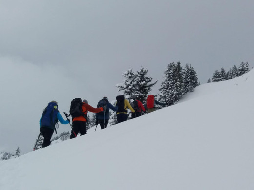 WhatsApp Image 2020-01-20 at 13_23_19_1_.jpeg