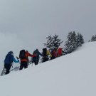 WhatsApp Image 2020-01-20 at 13_23_19_1_.jpeg