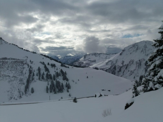 WhatsApp Image 2020-01-20 at 13_23_20.jpeg