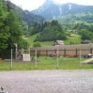 557645.jpg