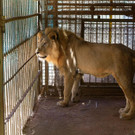 AFP_1NY07N.jpg