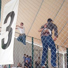 557648.jpg