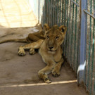 AFP_1NY07T.jpg