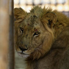 AFP_1NY07P.jpg