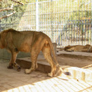 AFP_1NY09V.jpg