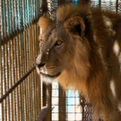 AFP_1NY07F.jpg