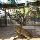 AFP_1O07AM.jpg