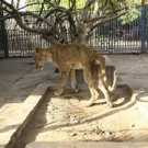 AFP_1O079M.jpg