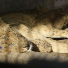 AFP_1O075U.jpg