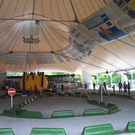 557679.jpg