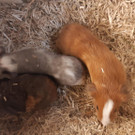 IMG-20200113-WA0080.jpeg