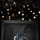 AFP_1O26LN.jpg
