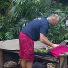 3_649627.jpg