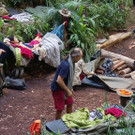 3_649629.jpg