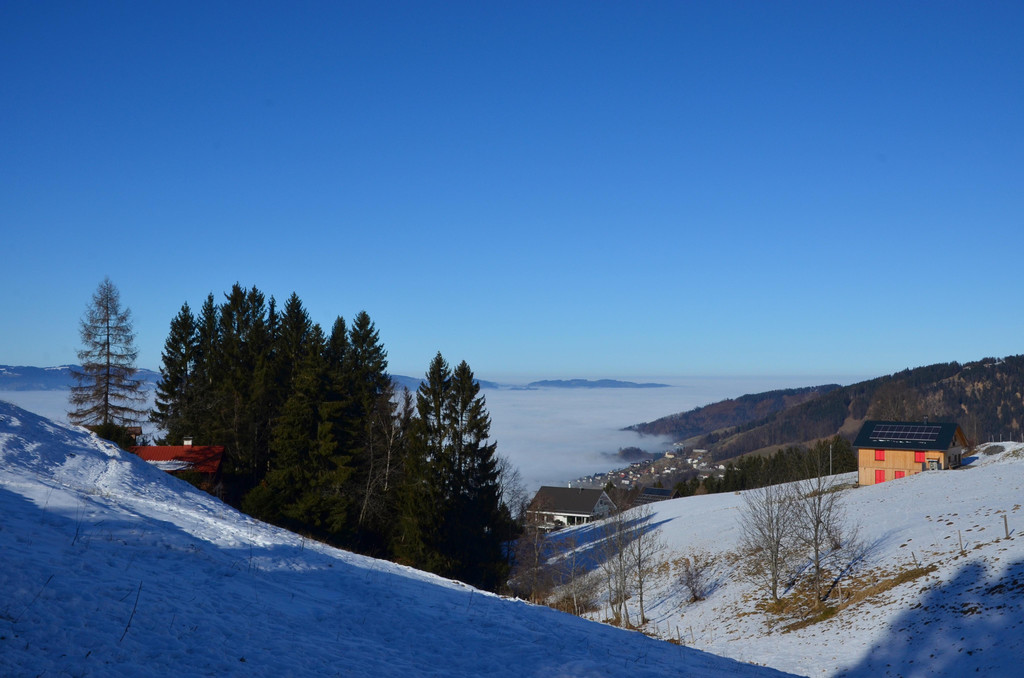Furx 220120_2.JPG
