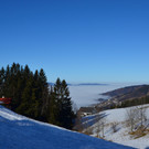 Furx 220120_2.JPG