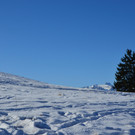 Furx 220120_3.JPG