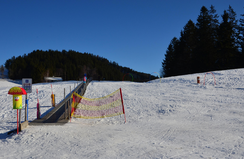 Furx 220120_4.JPG