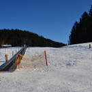 Furx 220120_4.JPG