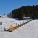 Furx 220120_6.JPG