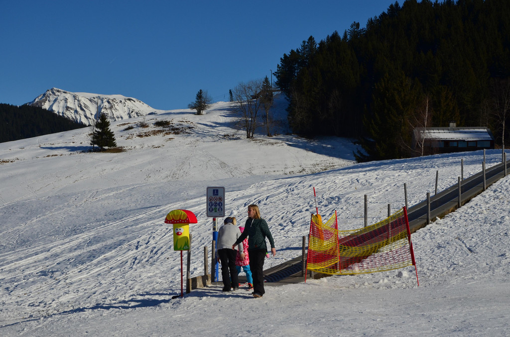 Furx 220120_8.JPG