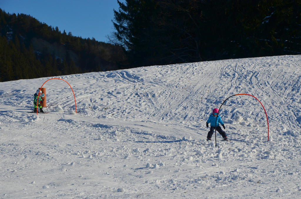 Furx 220120_9.JPG