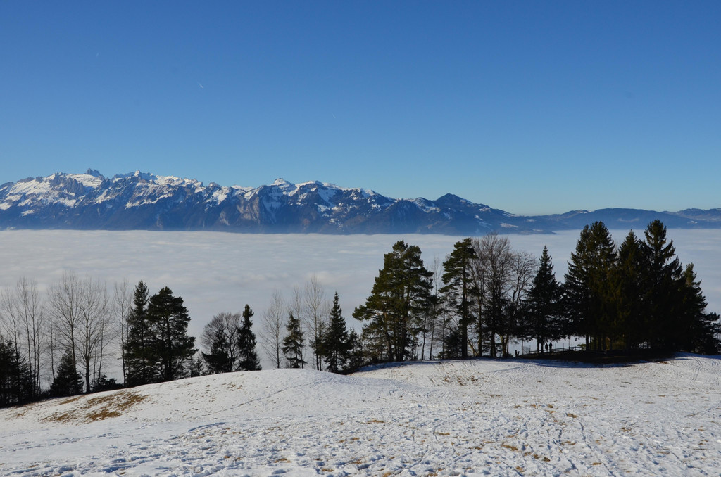 Furx 220120_10.JPG