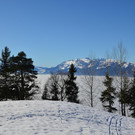 Furx 220120_11.JPG